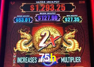 Casino Ao Vivo 75h